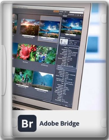 Adobe Bridge 2024 14.1.1.274 RePack by KpoJIuK [Multi/Ru]