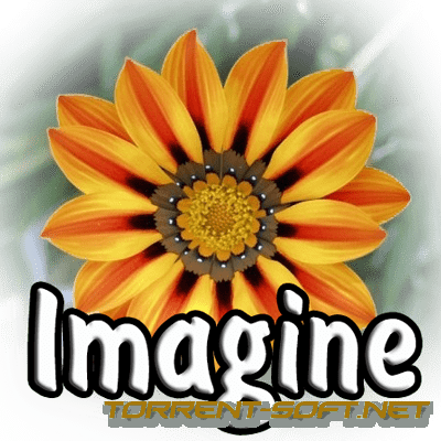 Imagine 1.1.5 + Plugins (2022) PC | + Portable